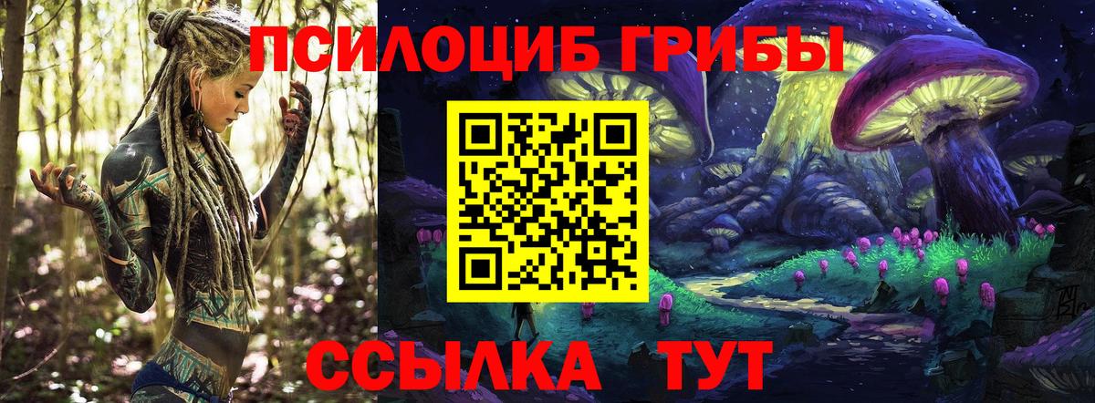 Галлюциногенные грибы Cubensis Сухой Лог